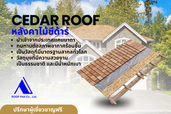 sedarroof2